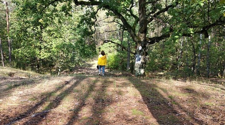 Spacer z obiadem! Poznaj Puszczę Kampinoską