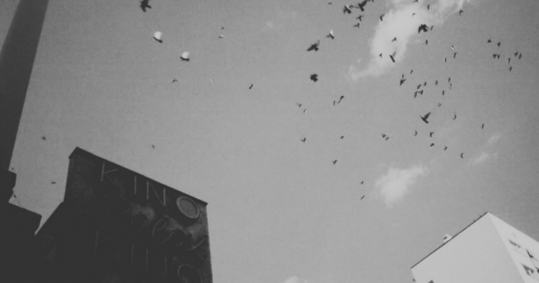 Kim jest to Miasto? Kto jest kim?